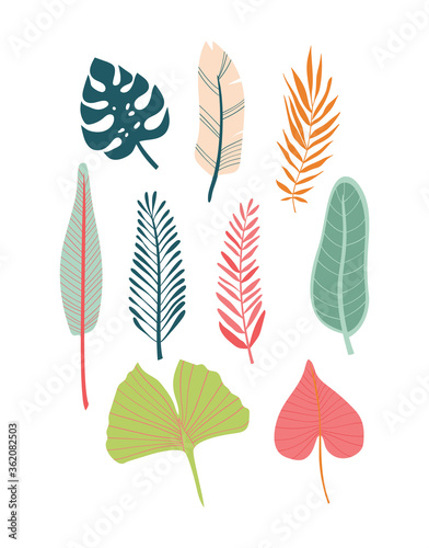 Vector illustration of various tropical leaves in bright colors.