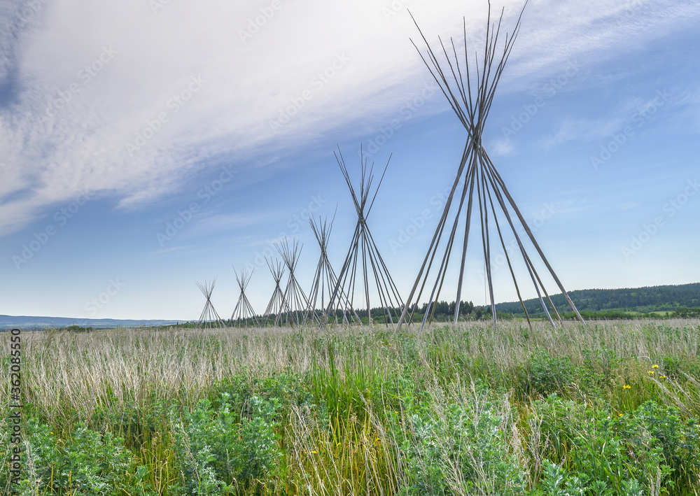 Tipi Poles on the Stoney Indian Reserve at Morley, Alberta, Canada Stock  Photo | Adobe Stock