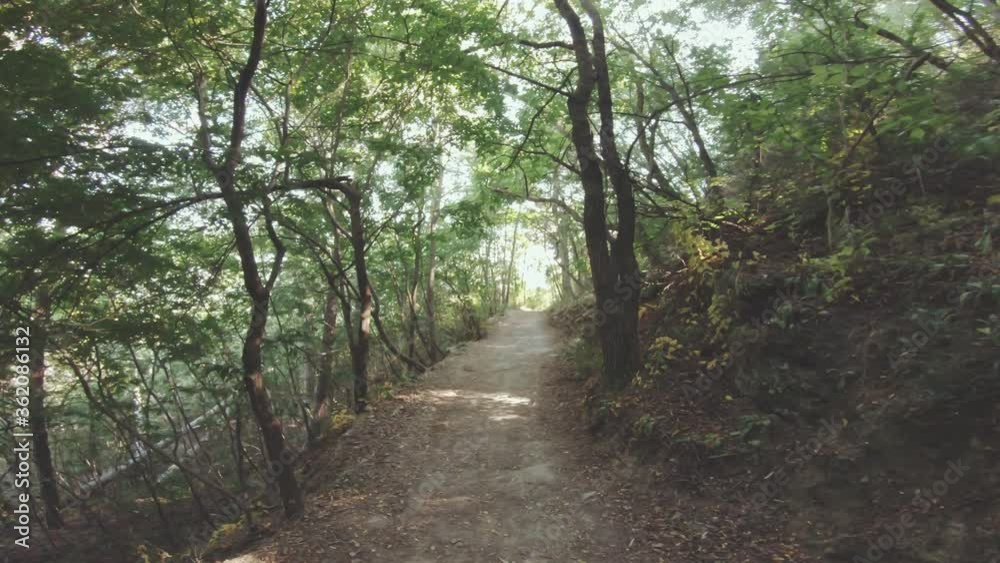 Walking Tight Mountain Forest Path Between Bushes Hiking In Sunny Warm Hot Day Beautiful Nature Landscape With Sun Flares Walking Tight Mountain Forest Path Between Bushes Hiking In Sunny Warm Hot Day Beautiful Nature Landscape With Sun Flares