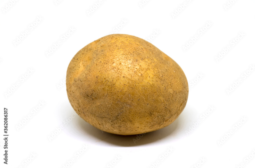 Fototapeta premium Brown potato on white background. Traditional vegetable isolate image. Single potato unpeeled photo closeup