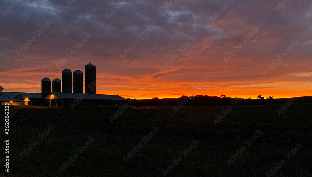 intense sunrise over dairy farm
