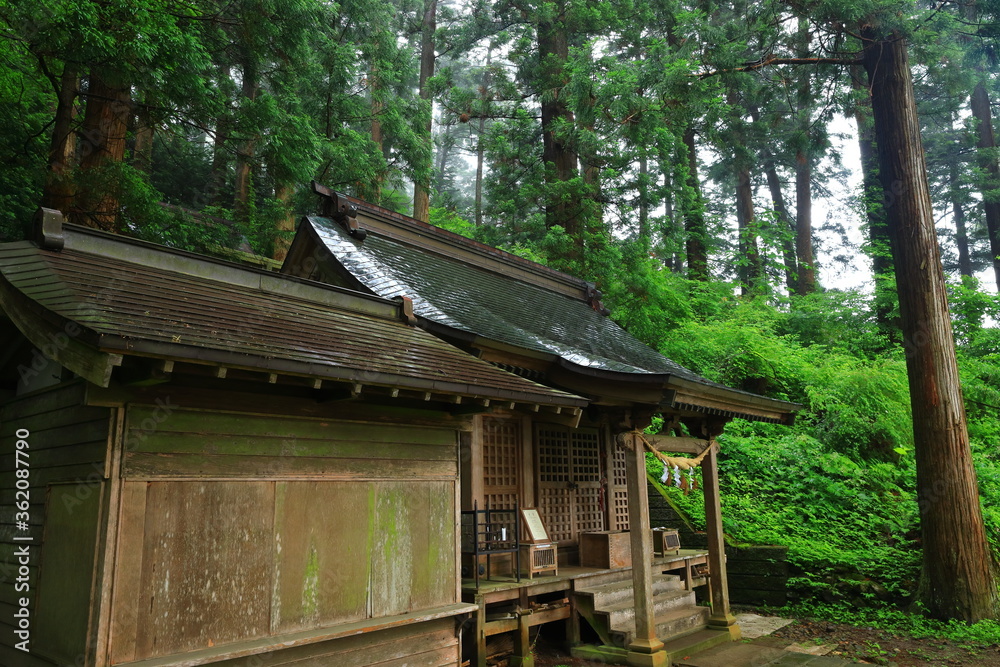 世界遺産　新緑の中尊寺