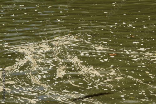 Swirls in the Water