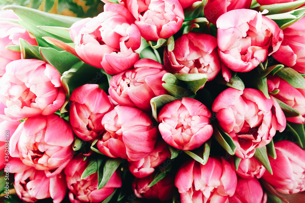 Beautiful bouquet of pink tulips, close up