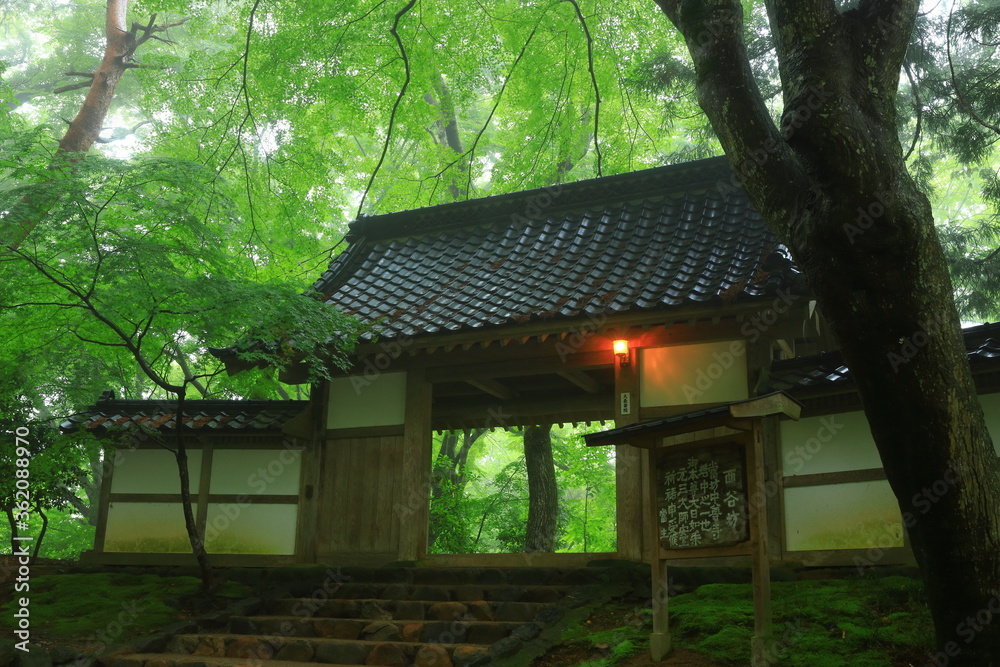 世界遺産　新緑の中尊寺