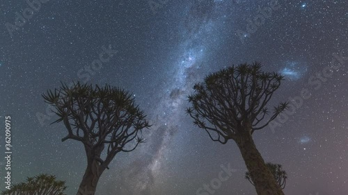 4K, 10BIT, YUV422 timelapse of milky way over Quiver tree in Namibia,Africa