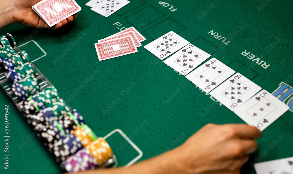 croupier on the poker table with a green cloth lays the card chips between his hands croupier on the poker table with a green cloth lays the card chips between his hands
