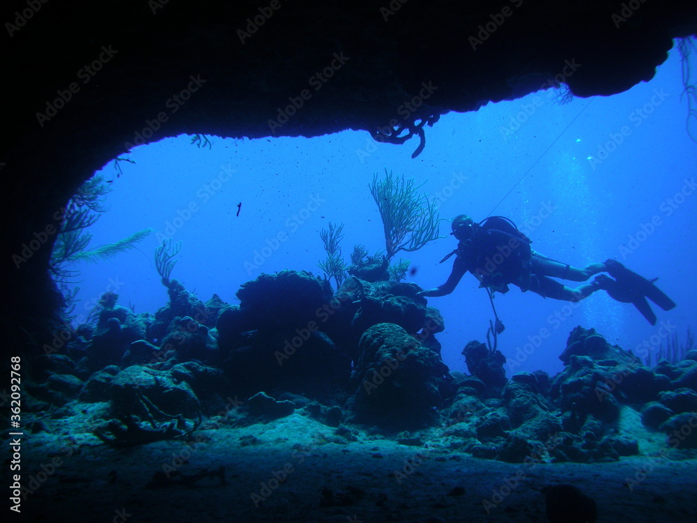Fototapeta premium cueva