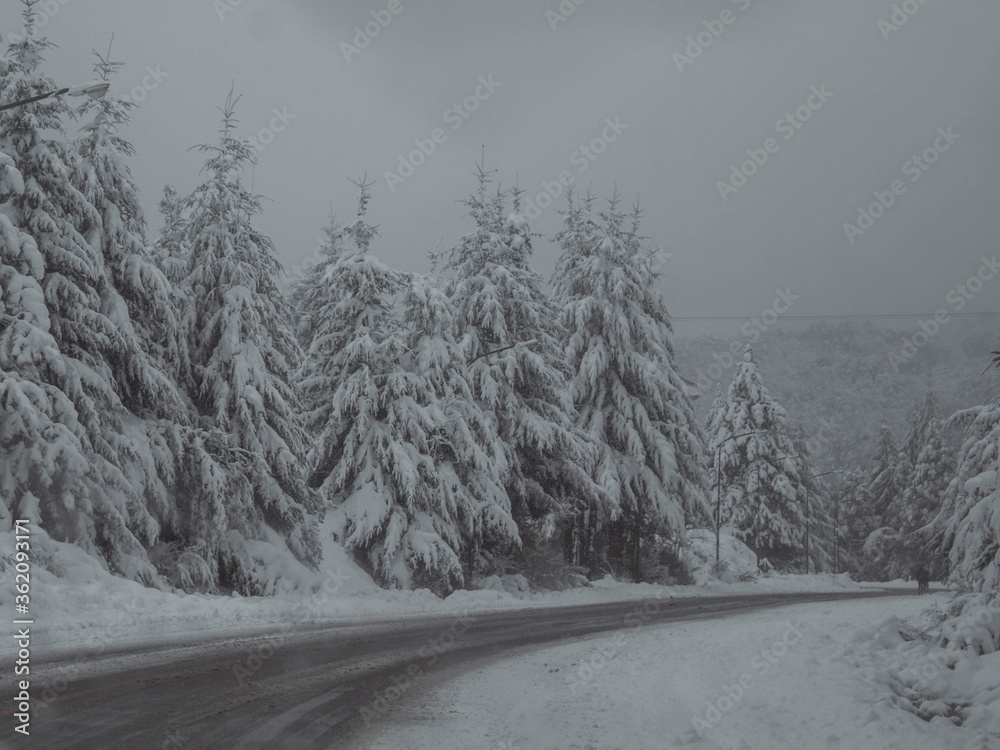 Obraz premium nieve