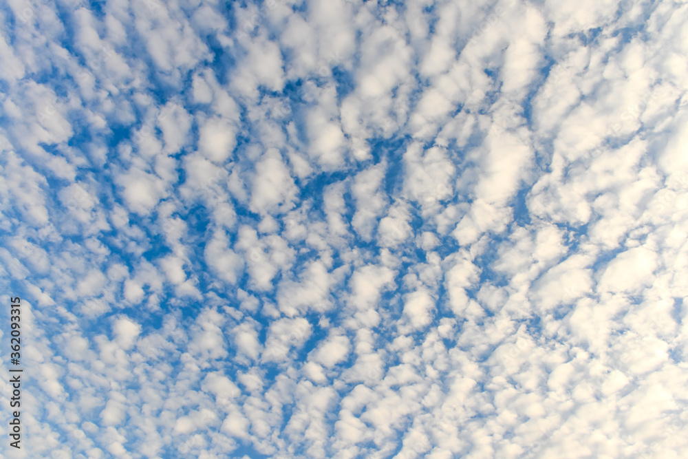 The blue sky and white fluffy clouds The blue sky and white fluffy clouds