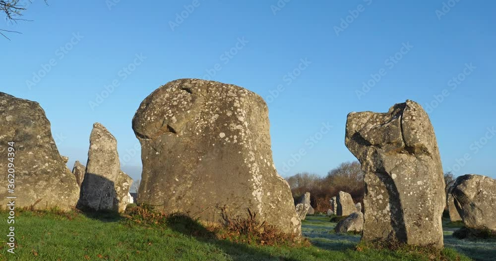 The stone alignments,Carnac, Morbihan, Brittany, France The stone alignments,Carnac, Morbihan, Brittany, France