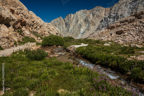 mountain landscape with stream