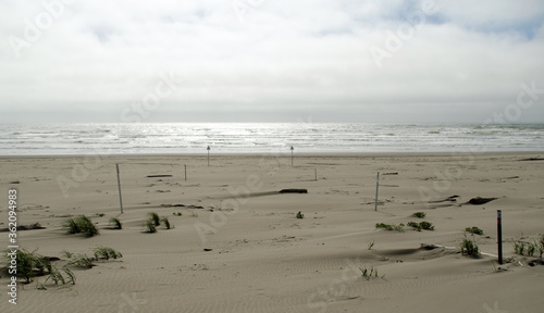 No people on dunes of North Beach at Leadbetter Point State park photo