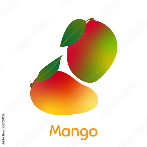 Mango. Vector Illustration EPS. 