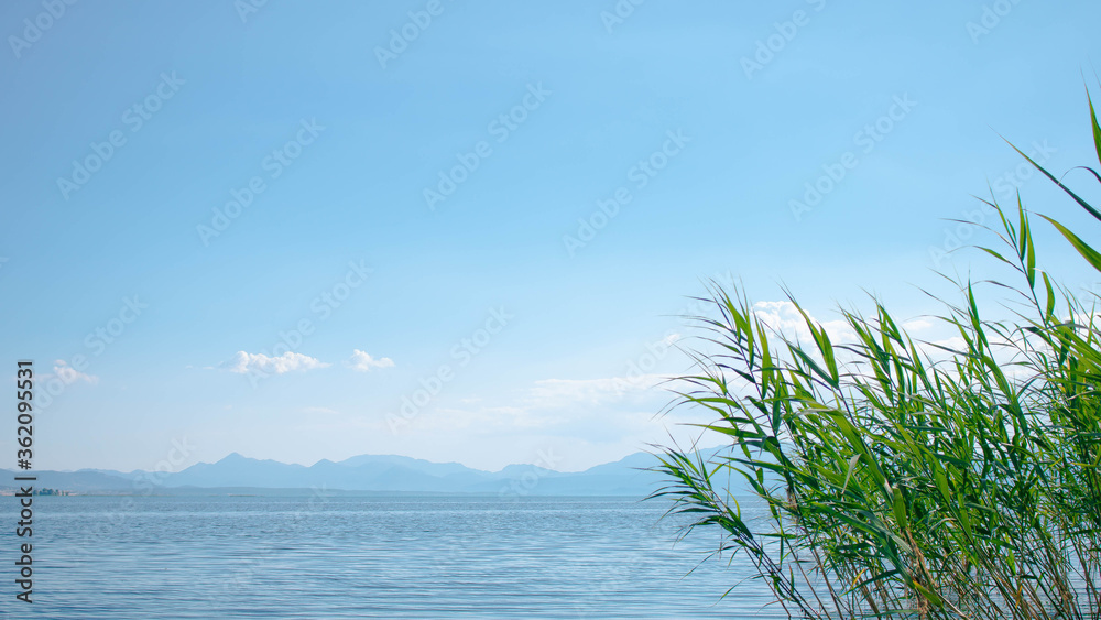 Green grass and blue sky on a lake