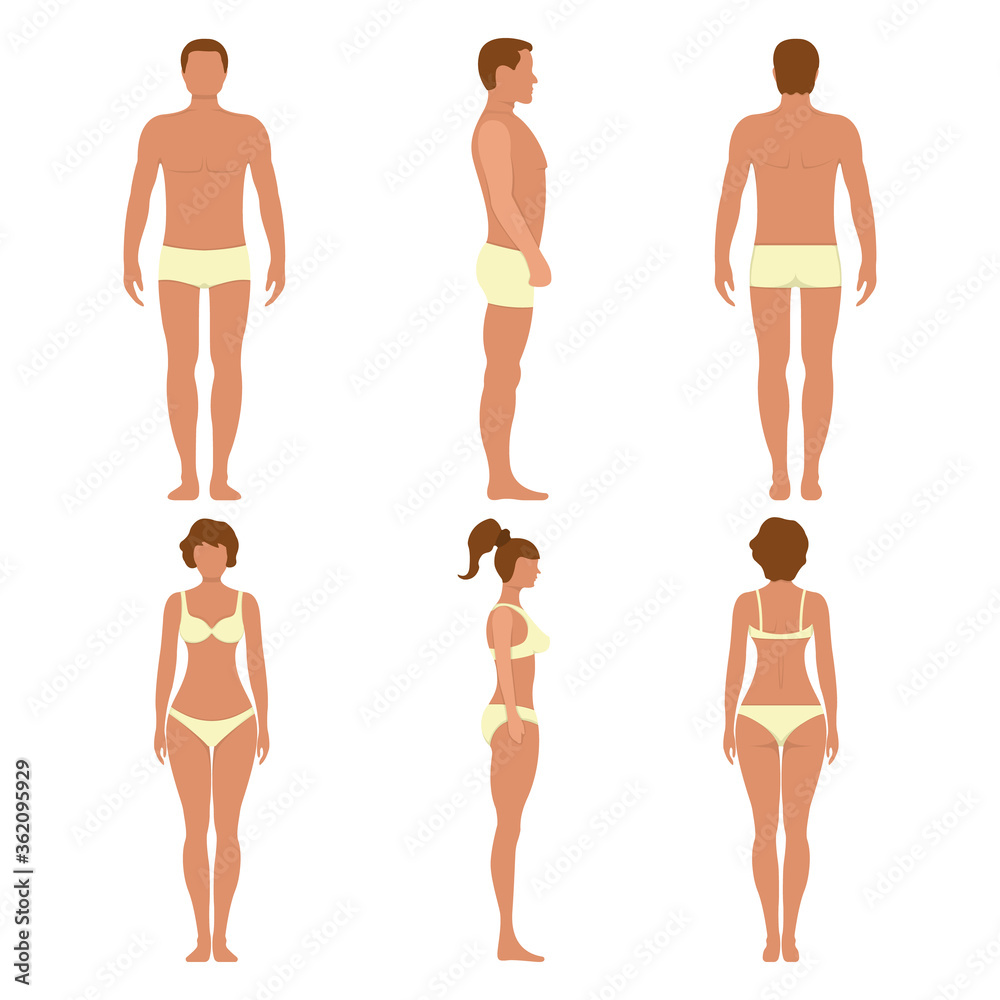 Male and female anatomy human character, people dummy front and view side body silhouette, isolated on white, flat vector illustration. Male and female anatomy human character, people dummy front and view side body silhouette, isolated on white, flat vector illustration.