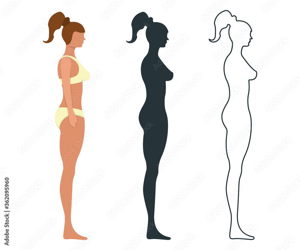 Female anatomy human character, people dummy front and view side body silhouette, isolated on white, flat vector illustration.