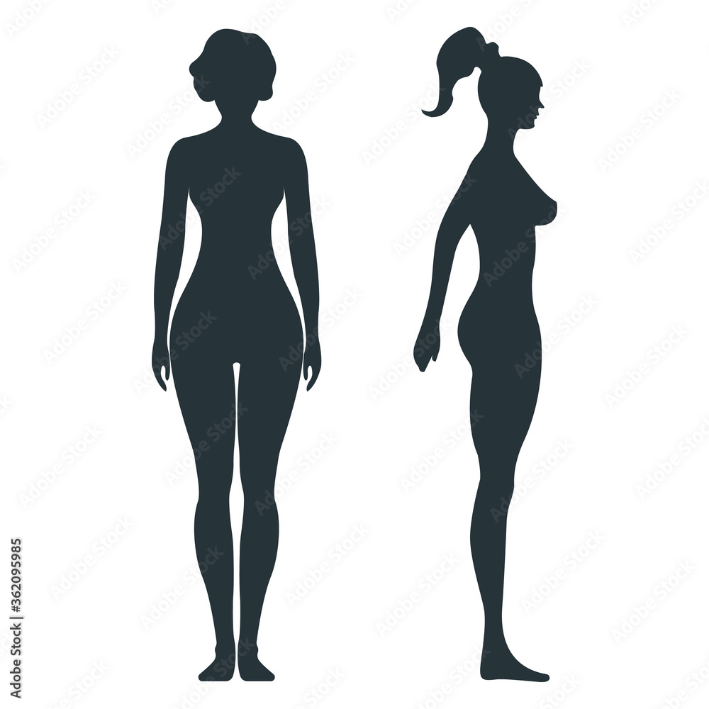 Female anatomy human character, woman people dummy front and view side body silhouette, isolated on white, flat vector illustration. Female anatomy human character, woman people dummy front and view side body silhouette, isolated on white, flat vector illustration.