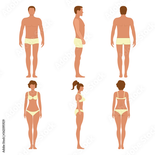 Male and female anatomy human character, people dummy front and view side body silhouette, isolated on white, flat vector illustration.