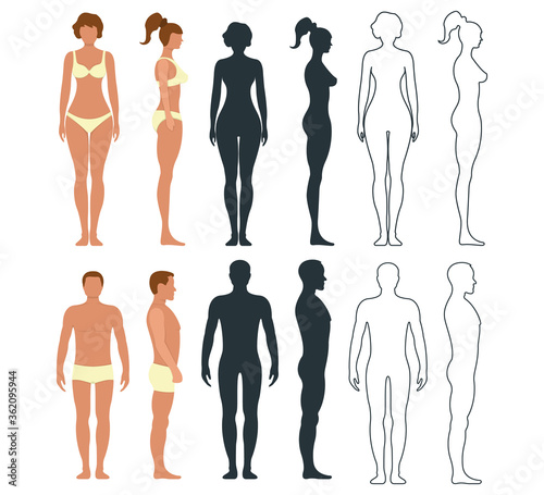 Male and female anatomy human character, people dummy front and view side body silhouette, isolated on white, flat vector illustration.