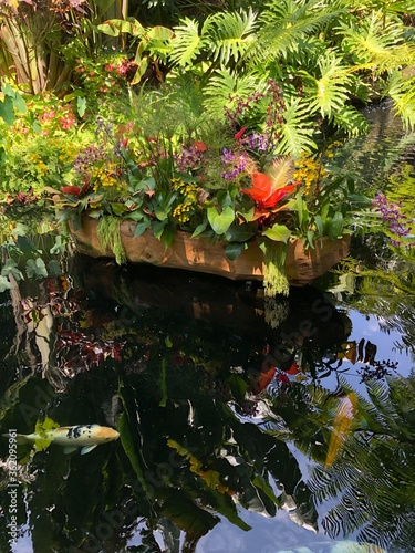 japanese garden pond with flowers