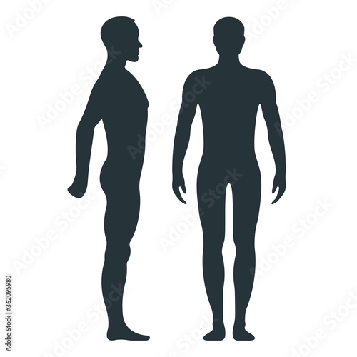 Male anatomy human character, man people dummy front and view side body silhouette, isolated on white, flat vector illustration.