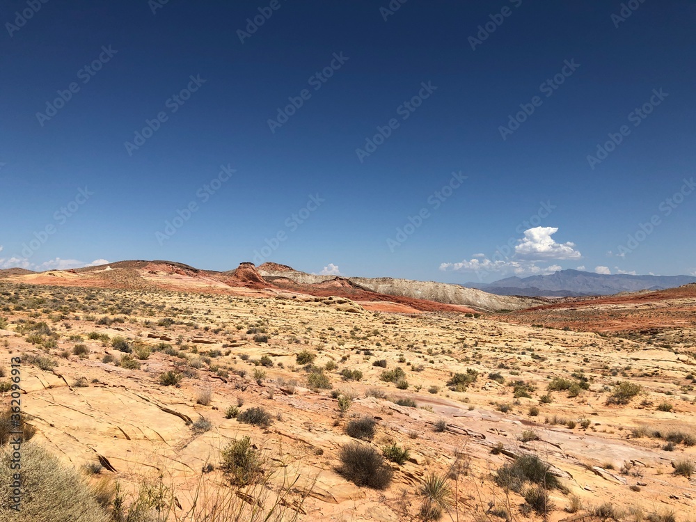 desert landscape in the desert