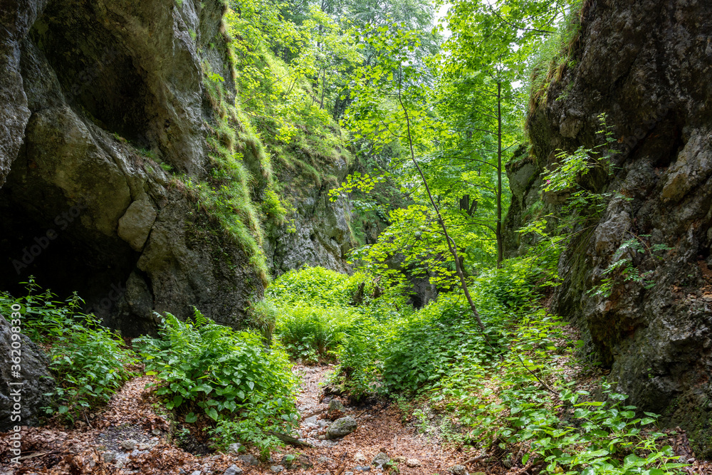 Fototapeta premium Hiking Path Via Ferrata at the Weichtalklamm in Lower Austria
