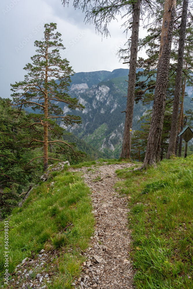 Hiking Path Via Ferrata at the Weichtalklamm in Lower Austria Hiking Path Via Ferrata at the Weichtalklamm in Lower Austria