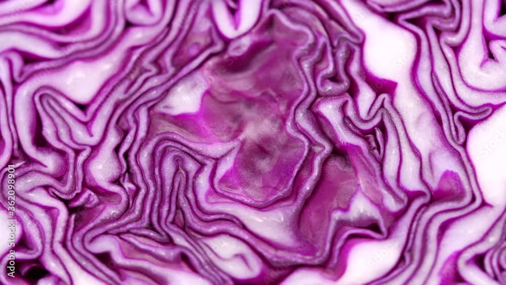 Red cabbage texture rotating in slow motion Red cabbage texture rotating in slow motion