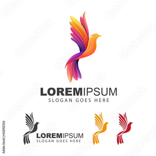 colorful Phoenix or eagle flying logo illustration vector template