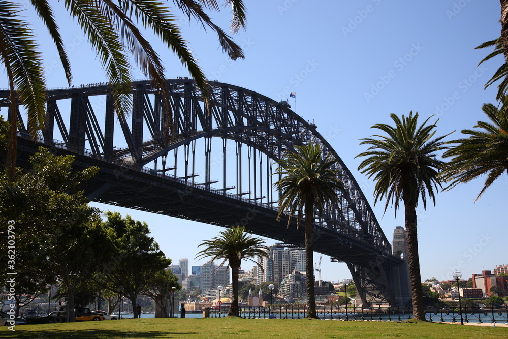 Fototapeta premium View of Sydney Cityscape and Harbor Bridge Australia
