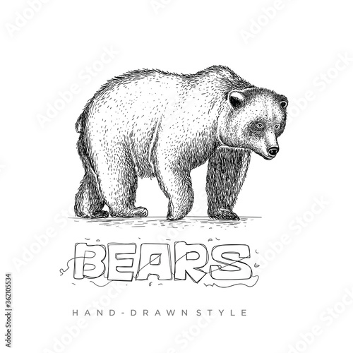 Realistic bear vector with abstract hand drawn style, black and white animal illustration