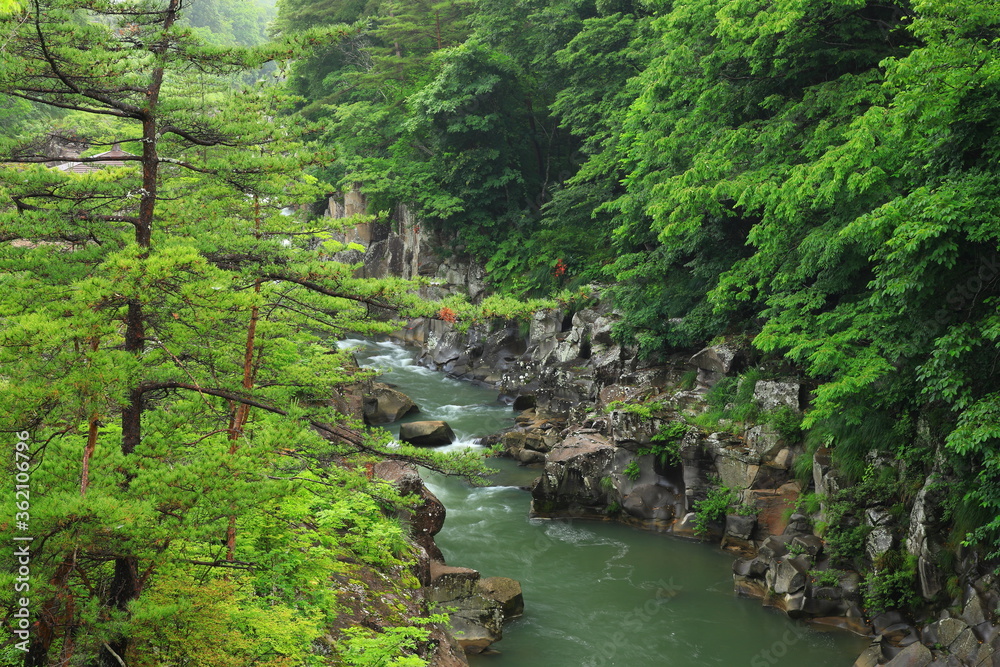 夏の厳美渓 夏の厳美渓