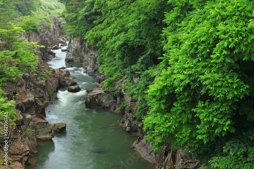 夏の厳美渓