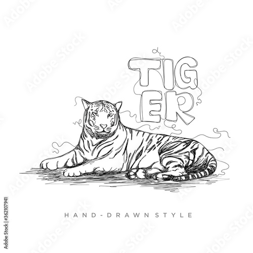 vector tiger in a hand-drawn style, illustration of a black and white animal photo