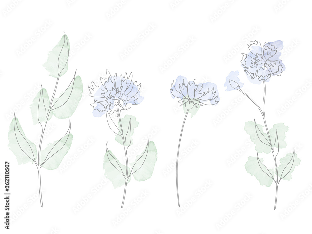 Vector watercolour set of different blue cornflowers