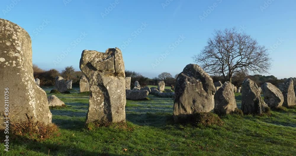 The stone alignments,Carnac, Morbihan, Brittany, France The stone alignments,Carnac, Morbihan, Brittany, France