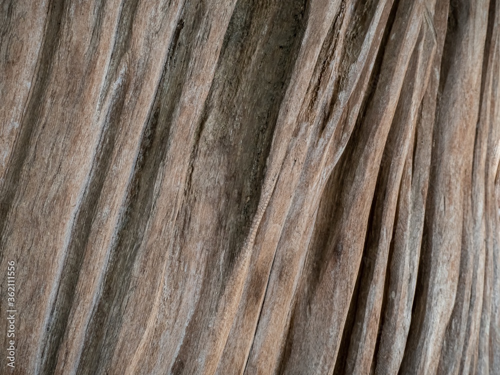 Deep texture of an old wood logs. The trunk of an old tree show natural skin with a deep crack. Background texture from nature.