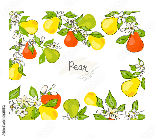 Fresh, green whole and halved pear, leaves, fruits on a white background. Doodle