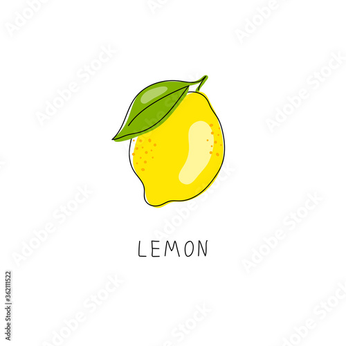Whole lemon cut in half, slice, clipping path isolated on a white background. Set.