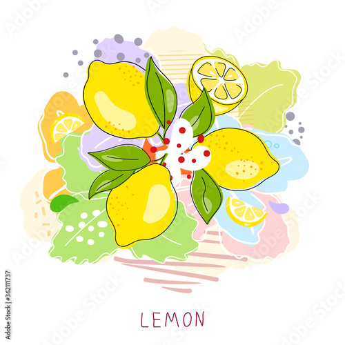 Whole lemon cut in half, slice, clipping path isolated on a white background. Set.