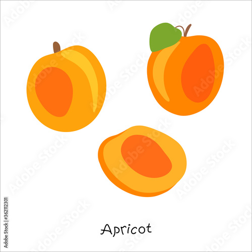 Fresh, bright whole and halved apricots, leaves, fruits on an abstract background. Doodle