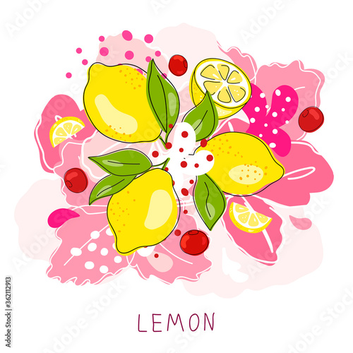 Whole lemon cut in half, slice, clipping path isolated on a white background. Set.