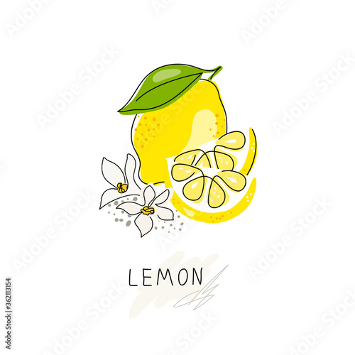 Whole lemon cut in half, slice, clipping path isolated on a white background. Set.