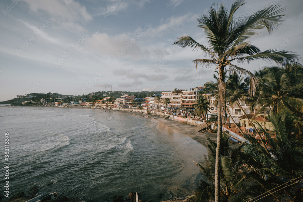 Obraz premium coconut trees on the beach