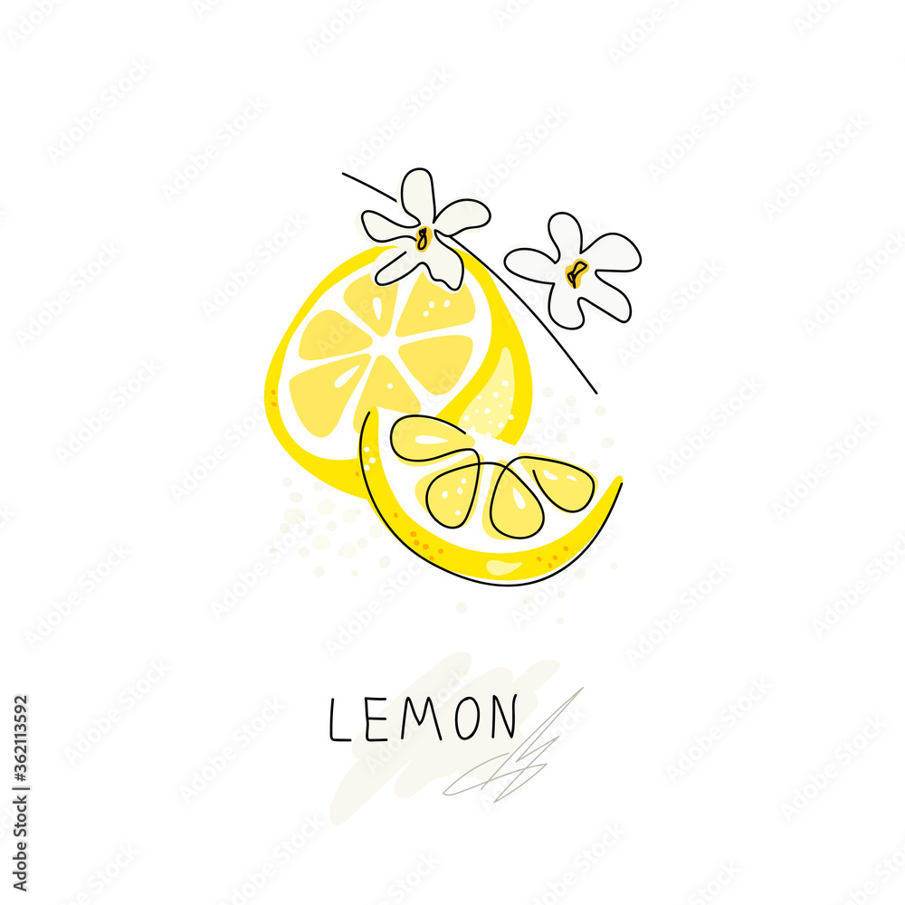 Whole lemon cut in half, slice, clipping path isolated on a white background. Set. Whole lemon cut in half, slice, clipping path isolated on a white background. Set.