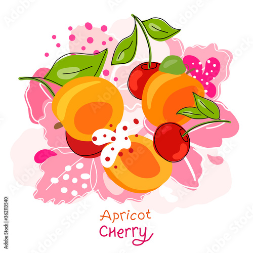 Fresh, bright whole and halved apricots, leaves, fruits on an abstract background. Doodle
