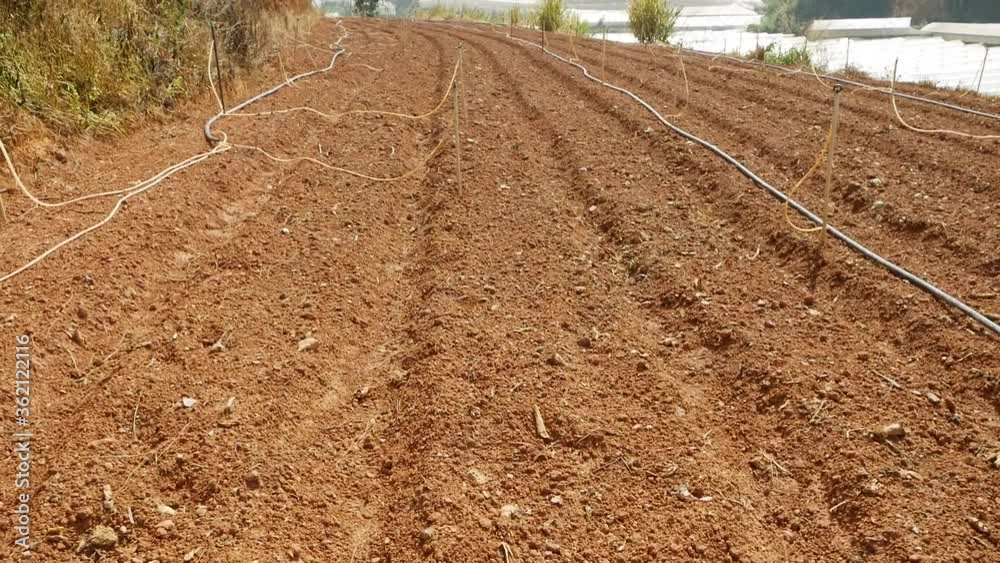 Plowed field is ready for sowing seeds in the countryside. Vegetables, organic farming. Agriculture and agribusiness Plowed field is ready for sowing seeds in the countryside. Vegetables, organic farming. Agriculture and agribusiness
