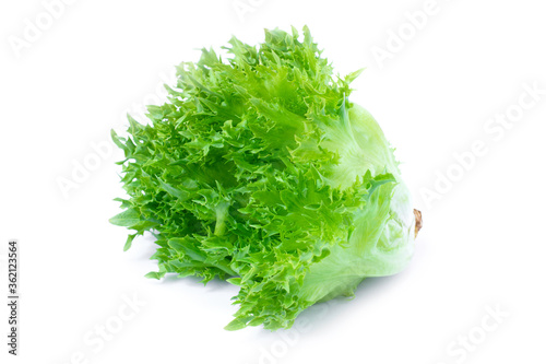 Fresh organic green batavia lettuce vegetable ( Coral salad ) isolated on white background.  photo